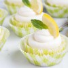 lemon blossom